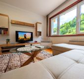 Apartment Izvor 6
