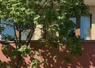 House Augusta 7, Hissarya