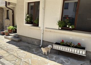 Hotel Benita 2, Sozopol