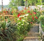 Вилно селище Жасмин - Бодуров