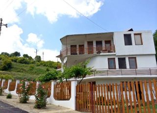 House Petrovi, Obzor