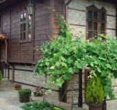 Kомплекс Воеводски