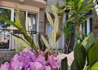 House MilDan, Ravda