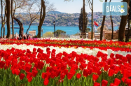 3* Хотели Beige или Keicik Истанбул - Фестивал на Лалето, вкл. шопинг в Одрин