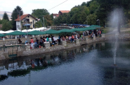  Сърбия  - Нишка баня, Пирот,  Фестивал на баница