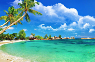 5* Х-л Hyatt Sunscape Coco Пунта Кана - басейн и All Incl. + 1 нощ. в Мадрид