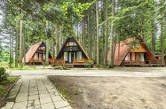 3* Вили Ягода и Малина Боровец  - семейно на SPA+ джакузи и басейн 