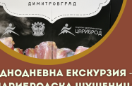  Сърбия - Пирот, Фестивал на шушеницата и други