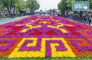 Настанавяне в 3* хотел Истанбул  - Фестивал на лалето и на шопинг в Одрин