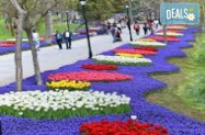  Истанбул  - пролетен тур за  Фестивал на лалето