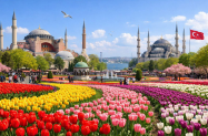 Настаняване в 3* хотел Истанбул - за Фестивала на  лалета, с  програма