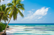 5* Хотел Sunscape Coco Punta Cana Доминикана - НГ 2027 с вечеря + 1 нощ. в Мадрид