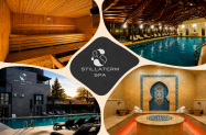 4* Stillaterm SPA Resort Минерални бани - джакузи + сауни, SPA със солна стая