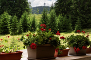3* Хотел Никен Пампорово - закрит басейн и SPA + на прохлада