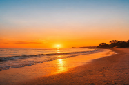 Хотел Съни Степс Слънчев бряг - July Morning, в х-л на 100 м от плажа