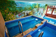 Къщи Симида до Троян - за Коледа, барбекю + SPA зона, джакузи