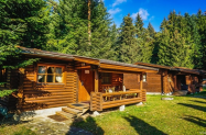 3* Вилно селище Ягода и Малина Боровец - SPA, джакузита,  семейно във вила