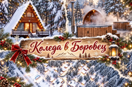3* Вилно селище Ягода и Малина Боровец - семейна Коледа, във вила, SPA зона