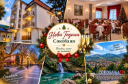 Vila Pcelica Petra, Vila Karamarkovic Сокобаня - НГ 27, гала вечеря с музика + напитки