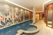 Хотел Ардо SPA Сърница - сауна, парна баня, гала вечеря, НГ 27