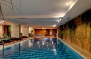 4* SPA Хотел Медикус Вършец - SPA + празнична вечеря за НГ 2027