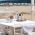 La Playa, Варна thumbnail 2