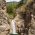 Загражденски водопади thumbnail 7