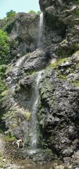 Търниченско пръскало (водопад)