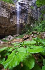 Водопад Скока (Веселиновски водопад)
