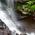 Чипровски водопад thumbnail 8