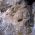 Харамийска пещера thumbnail 2