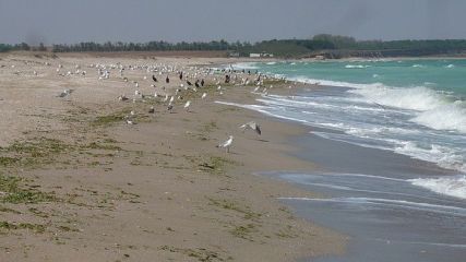 Плаж Езерец