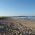 Камчийски пясъци (плаж) thumbnail