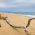 Камчийски пясъци (плаж) thumbnail 3