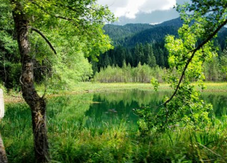 Чаирски езера, информация, отзиви, карта и снимки - Почивка.бг