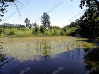 Езеро Драганчева бара - Деветаки