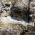 Извор Стария водопад thumbnail 2
