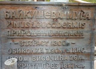 Байкушевата мура, информация, отзиви, карта и снимки - Почивка.бг