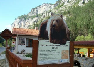 Музей на мечката
