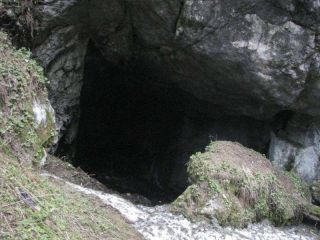 Ледницата (пещера)