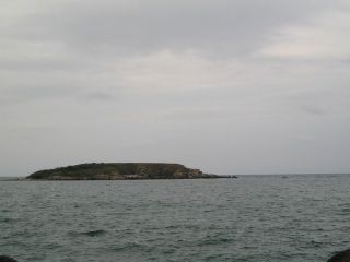 Змийски остров (Свети Тома)