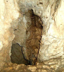 Пещерата на Раковски