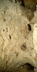 Пещерата на Раковски