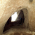 Пещерата на Раковски thumbnail