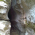 Калугерска дупка (пещера) thumbnail 3