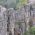 Средновековна крепост Бекярско кале thumbnail 7
