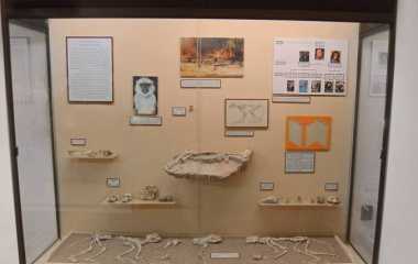Палеонтологичен музей