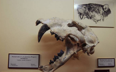 Палеонтологичен музей