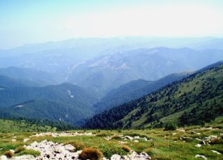 Царичина (резерват), информация, отзиви, карта и снимки - Почивка.бг