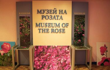 Музей на розата